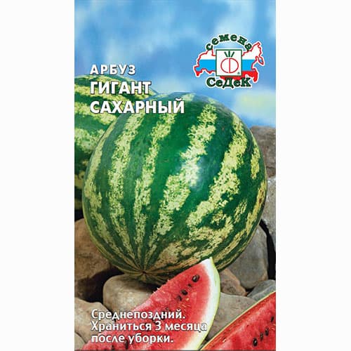 Арбуз Гигант сахарный Седек (93248): купить семена почтой в России