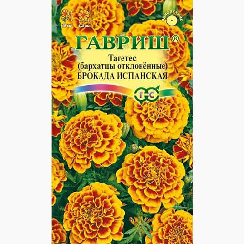 

Бархатцы отклоненные (тагетес) Брокада испанская Гавриш