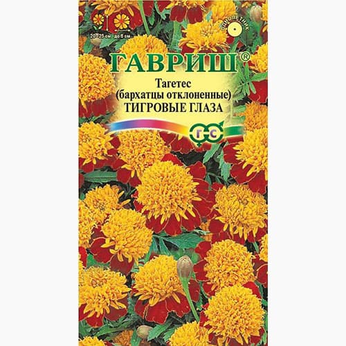 

Бархатцы отклоненные (тагетес) Тигровые глаза Гавриш