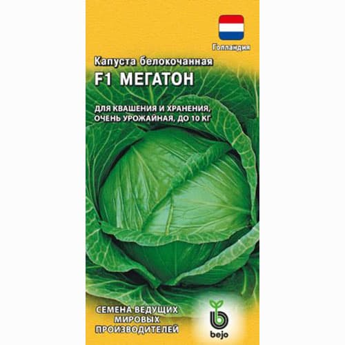 Капуста белокочанная Мегатон F1 Гавриш (65012): купить семена почтой вРоссии