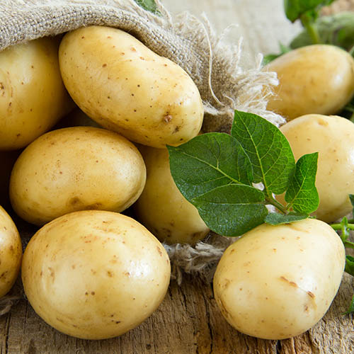 Картофель Фермер (5666): купить картофель почтой в России