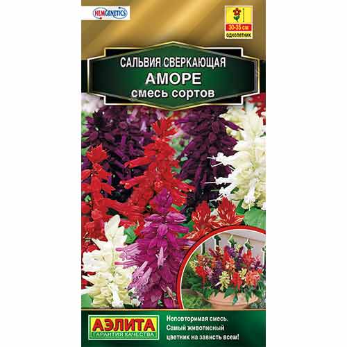 

Сальвия Аморе, смесь сортов Аэлита