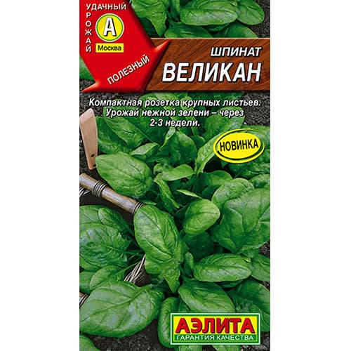 Шпинат Великан Аэлита (98802): купить семена почтой в России