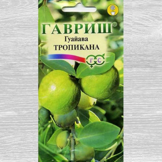 Семена Лимона Комнатного Купить Интернет Магазин Семена Лимона Комнатного Купить Интернет Магазин