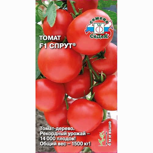 Томат Спрут F1 Седек (65185): купить семена почтой в России