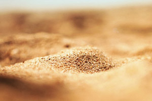 хранение капусты в песке
