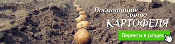 апрель +