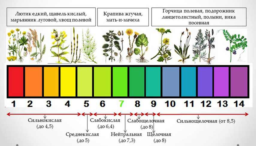 Карта кислотности почв россии